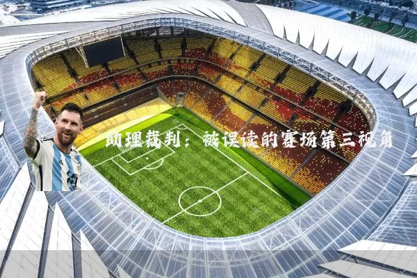 助理裁判:被误读的赛场第三视角